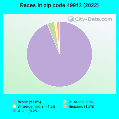 Races in zip code 49912 (2019)