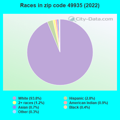 Races in zip code 49935 (2019)