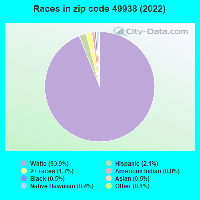 Races in zip code 49938 (2019)