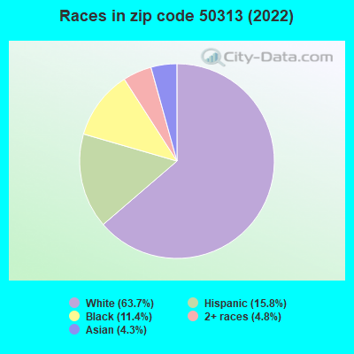 Races in zip code 50313 (2019)