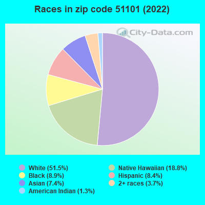 Races in zip code 51101 (2019)