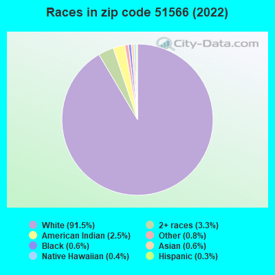 Races in zip code 51566 (2019)