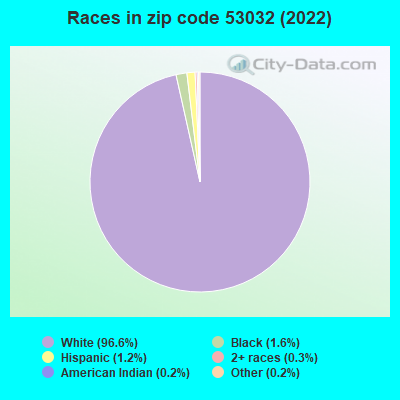 Races in zip code 53032 (2019)