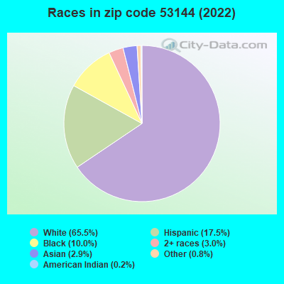 Races in zip code 53144 (2019)