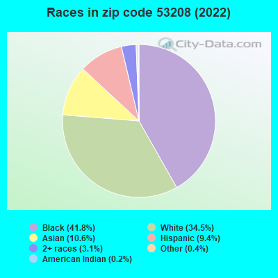 Races in zip code 53208 (2021)
