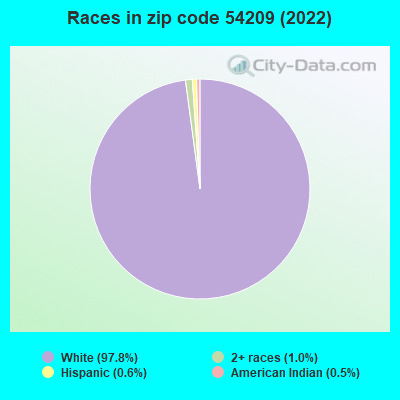 Races in zip code 54209 (2021)