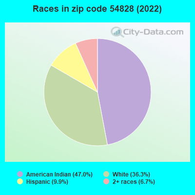 Races in zip code 54828 (2022)