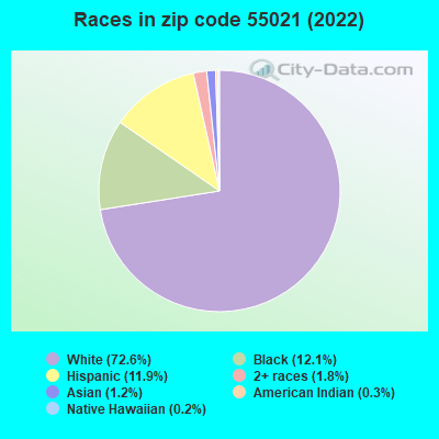 Races in zip code 55021 (2019)