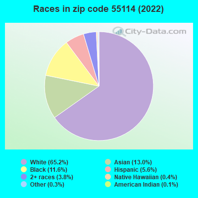 Races in zip code 55114 (2022)