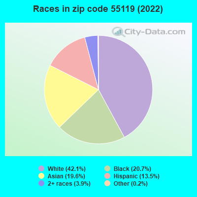 Races in zip code 55119 (2019)