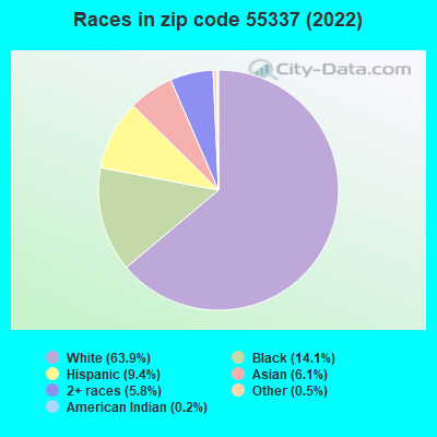 Races in zip code 55337 (2021)