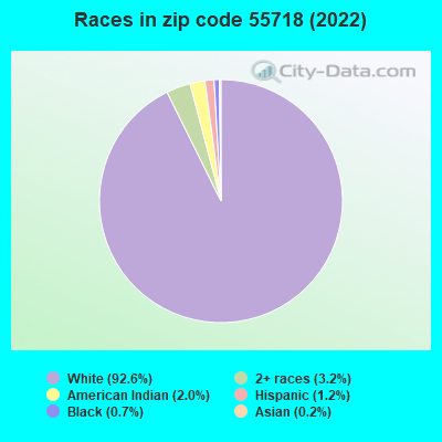 Races in zip code 55718 (2021)