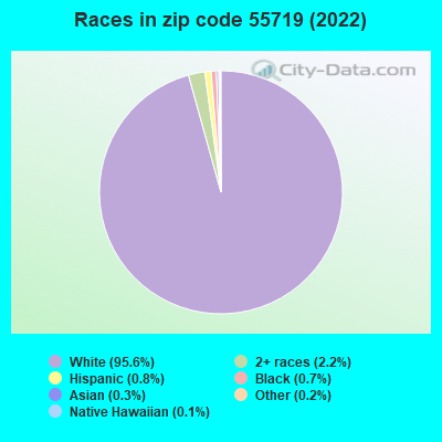 Races in zip code 55719 (2022)