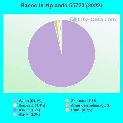 Races in zip code 55723 (2019)