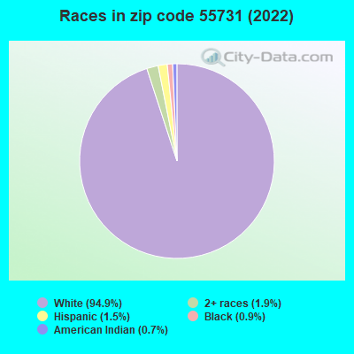 Races in zip code 55731 (2019)