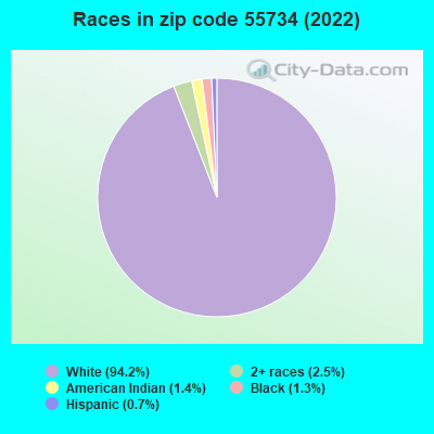 Races in zip code 55734 (2019)