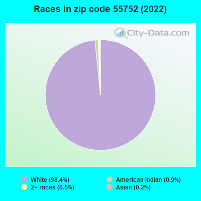 Races in zip code 55752 (2022)
