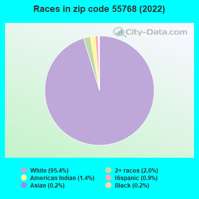 Races in zip code 55768 (2019)