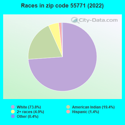 Races in zip code 55771 (2019)