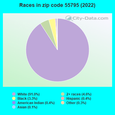 Races in zip code 55795 (2019)