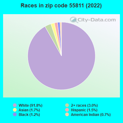 Races in zip code 55811 (2019)