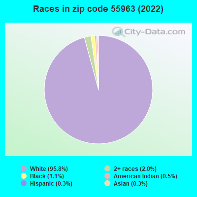 Races in zip code 55963 (2019)