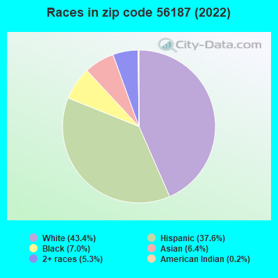 Races in zip code 56187 (2019)