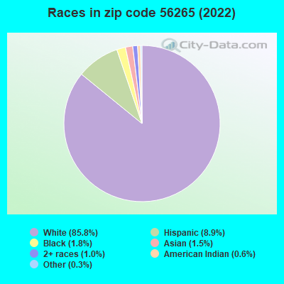 Races in zip code 56265 (2021)