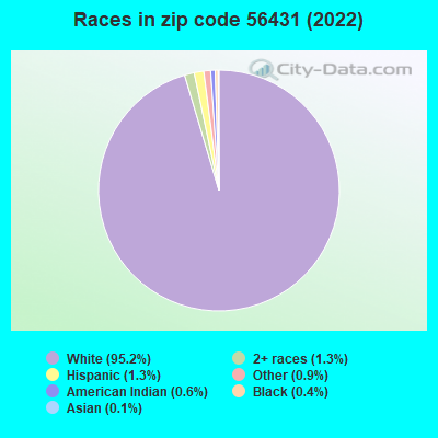 Races in zip code 56431 (2019)