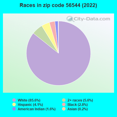 Races in zip code 56544 (2019)