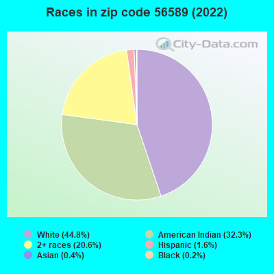 Races in zip code 56589 (2019)