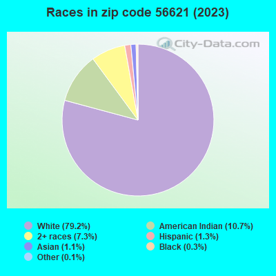 Races in zip code 56621 (2019)