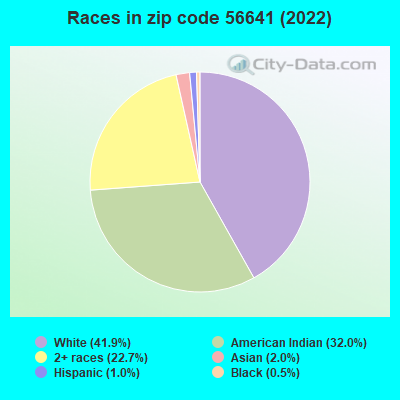 Races in zip code 56641 (2022)