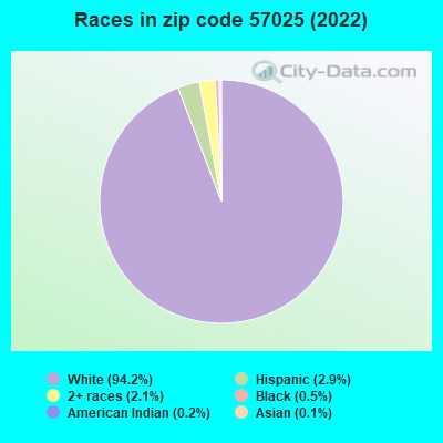 Races in zip code 57025 (2019)