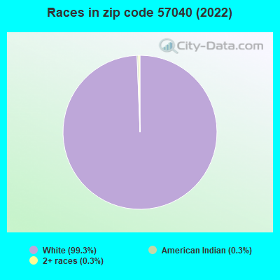 Races in zip code 57040 (2019)