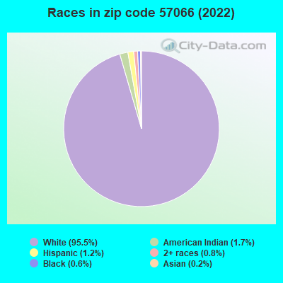 Races in zip code 57066 (2019)