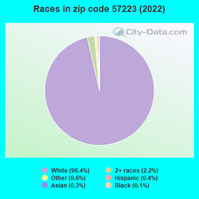 Races in zip code 57223 (2021)