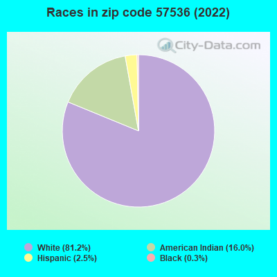 Races in zip code 57536 (2022)