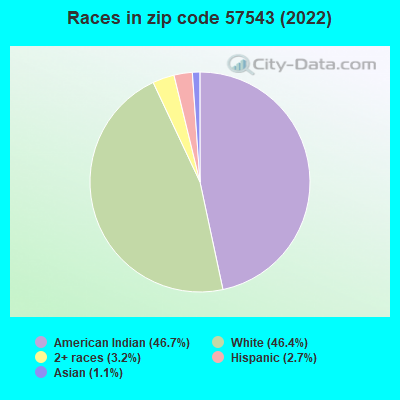 Races in zip code 57543 (2019)
