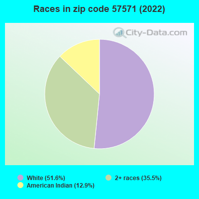 Races in zip code 57571 (2022)