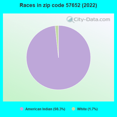 Races in zip code 57652 (2022)