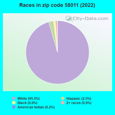 Races in zip code 58011 (2022)