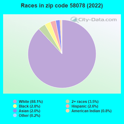 Races in zip code 58078 (2019)