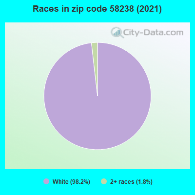 Races in zip code 58238 (2019)