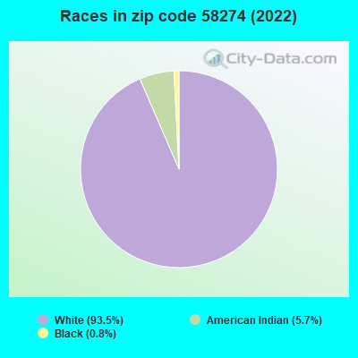 Races in zip code 58274 (2022)