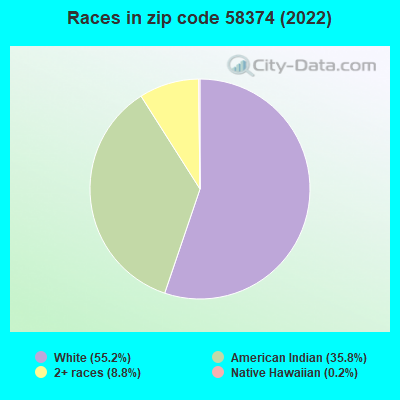 Races in zip code 58374 (2022)