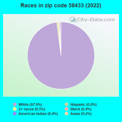 Races in zip code 58433 (2019)
