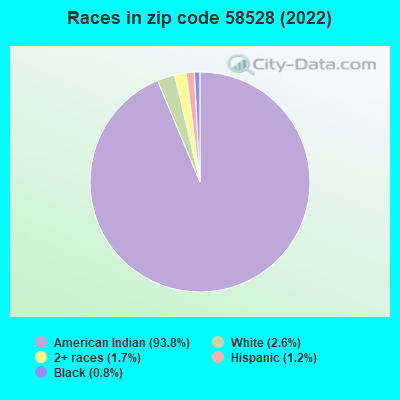 Races in zip code 58528 (2019)