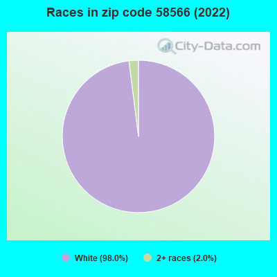 Races in zip code 58566 (2022)