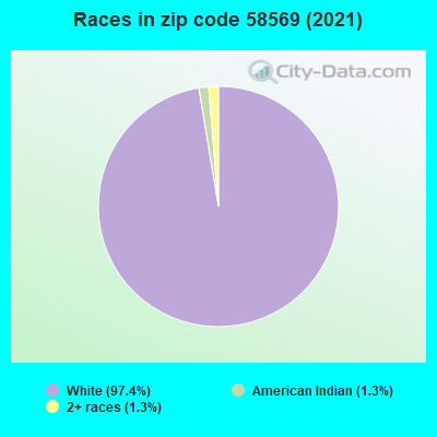 Races in zip code 58569 (2019)